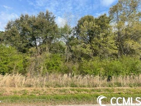 Tbd Nebo Rd., Gresham, SC 29546