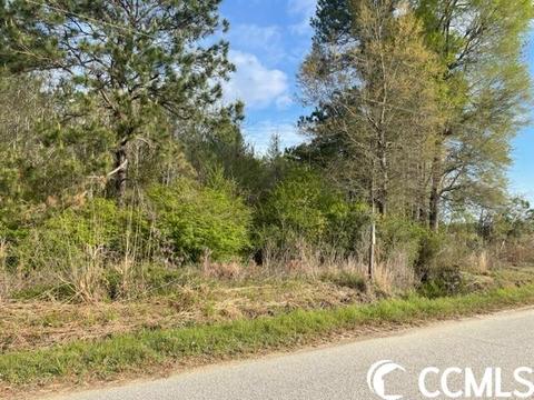 Tbd Nebo Rd., Gresham, SC 29546 photo 3