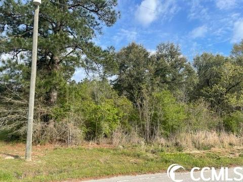 Tbd Nebo Rd., Gresham, SC 29546 photo 2