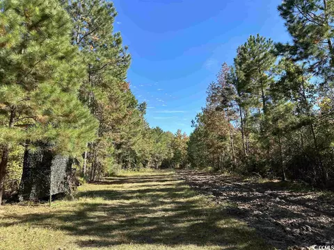 Tbd Santee Rd., Andrews, SC 29510