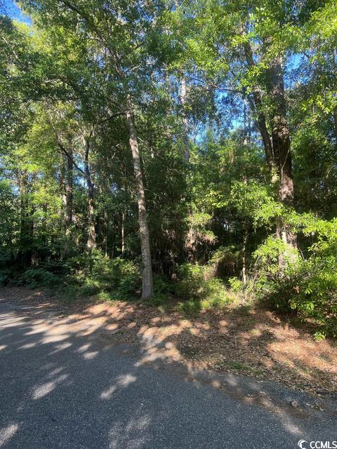 Tbd Goodson Loop, Pawleys Island, SC 29585