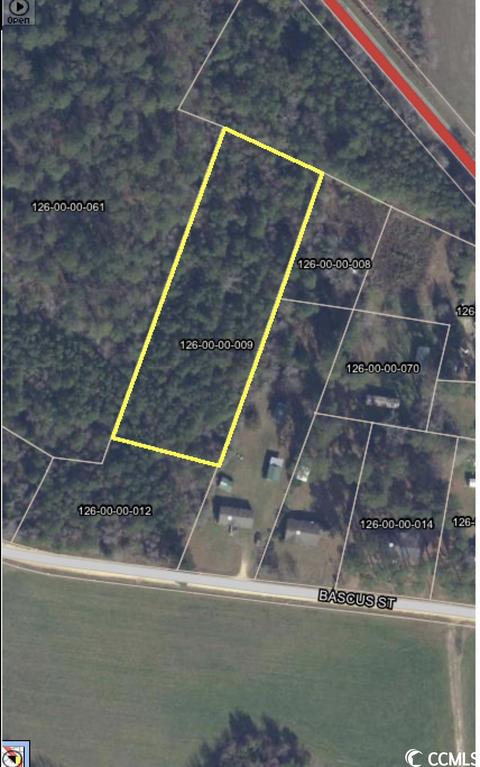 0 Bascus St, Nichols, SC 29581