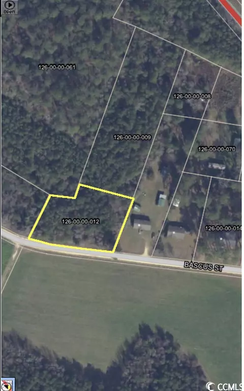 1 Bascus St, Nichols, SC 29581