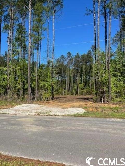 Tbd W G Rd., Loris, SC 29569