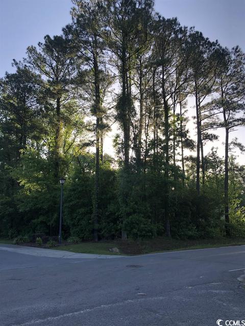 Lot 30 Sawyer St., Conway, SC 29527