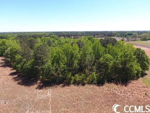 0 Mcquage Farm Rd, Bennetsville, SC 29512