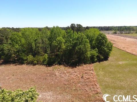 Lot #9 Mcquage Farm Rd., Bennetsville, SC 29512