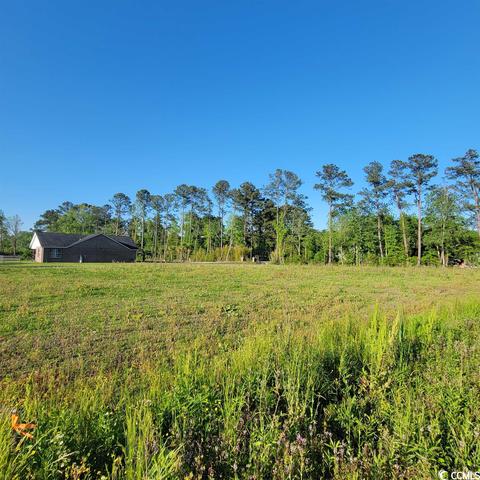Lot B Sweet Bay Rd., Longs, SC 29568
