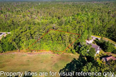 1350 Foxtail Dr, Longs, SC 29568