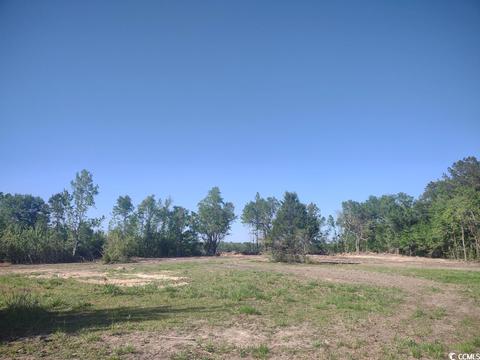 Tbd Mingo Chandler Rd., Nesmith, SC 29580