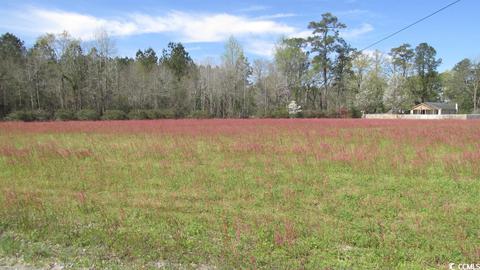 Tbd Mustang Ln., Pamplico, SC 29583