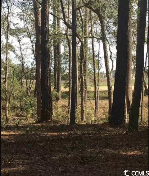 4933 S Island Dr, North Myrtle Beach, SC 29582