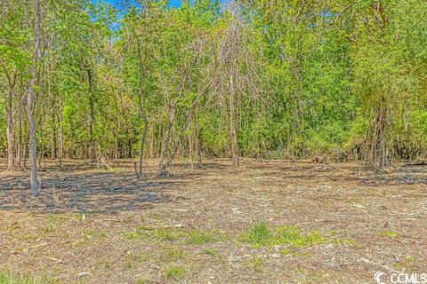 Tbd Tranquil Rd., Conway, SC 29527 photo 2