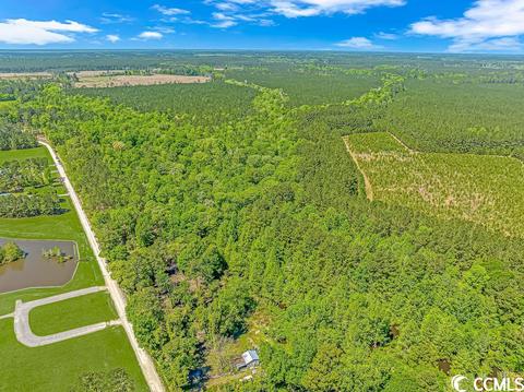 Tbd Tranquil Rd., Conway, SC 29527 photo 9