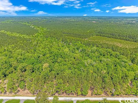 Tbd Tranquil Rd., Conway, SC 29527 photo 7