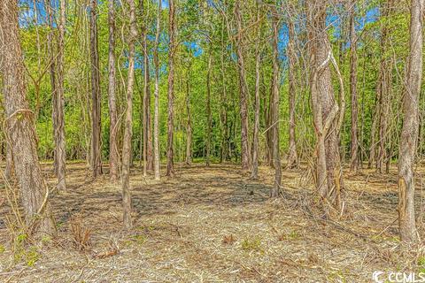 Tbd Tranquil Rd., Conway, SC 29527 photo 5