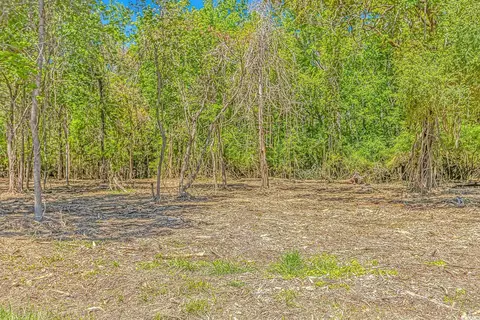 Tbd Tranquil Rd., Conway, SC 29527 photo 2