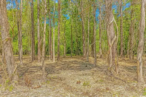 Tbd Tranquil Rd., Conway, SC 29527 photo 5