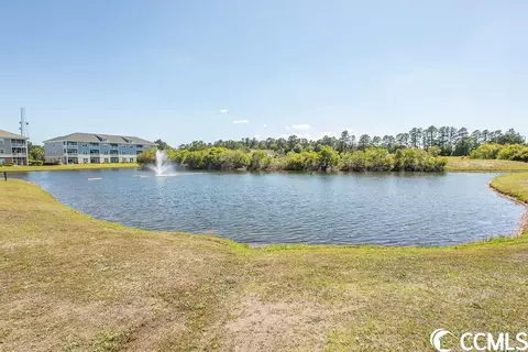 316 Kiskadee Loop #9D, Conway, SC 29526 photo 3