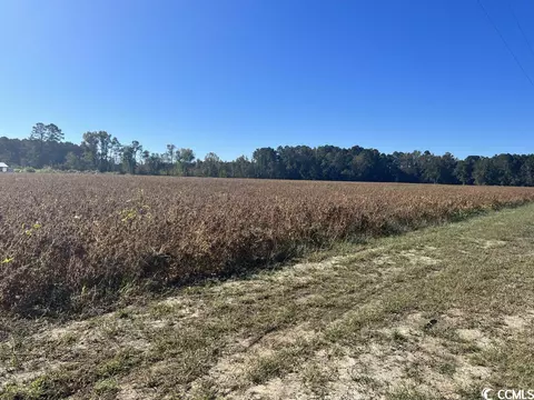 Tbd. Red Bluff Rd., Loris, SC 29569 photo 5