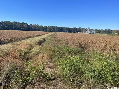 Tbd. Red Bluff Rd., Loris, SC 29569 photo 9