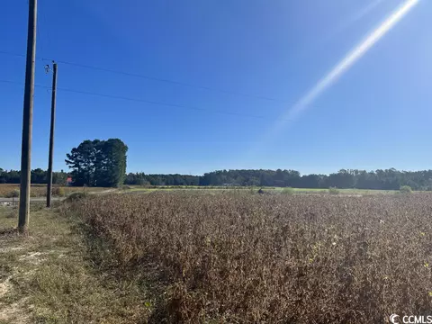 Tbd. Red Bluff Rd., Loris, SC 29569 photo 7