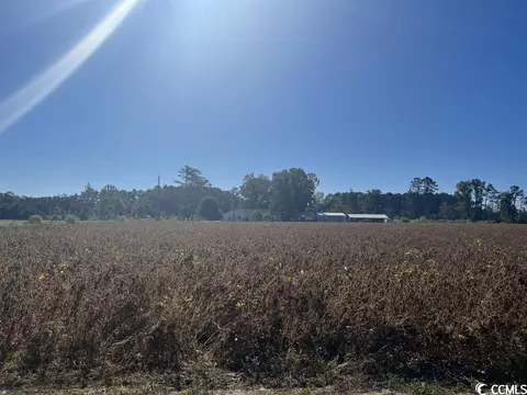 Tbd. Red Bluff Rd., Loris, SC 29569