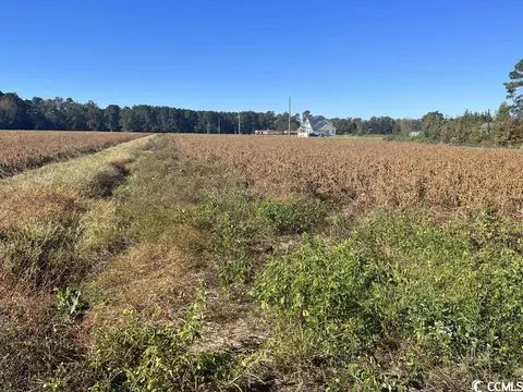 Tbd. Red Bluff Rd., Loris, SC 29569 photo 8