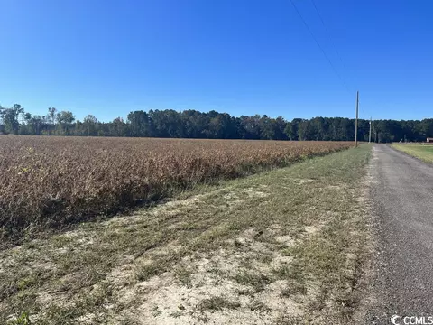 Tbd. Red Bluff Rd., Loris, SC 29569 photo 6