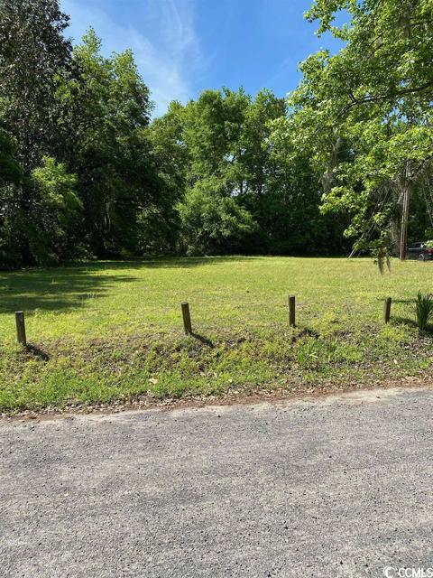 Tbd Blackgum Rd., Pawleys Island, SC 29585
