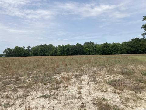 Lot 3 Durant Cemetary Rd., Johnsonville, SC 29555