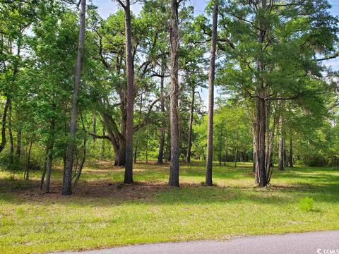 Tbd Gray Oaks Dr., Conway, SC 29526