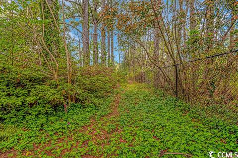 1506 Loop Cir, Longs, SC 29568 photo 29