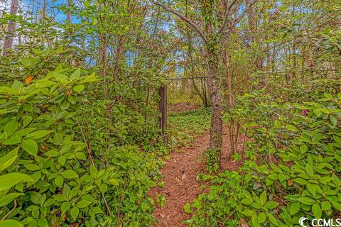 1506 Loop Cir, Longs, SC 29568 photo 28