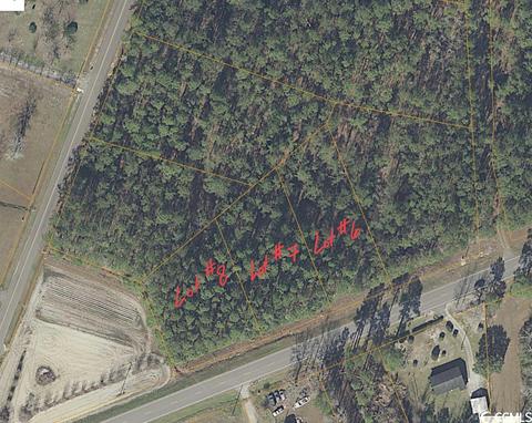 Lot 6 Highway 90, Conway, SC 29526