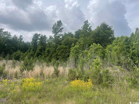 74 Shingle Dr, Georgetown, SC 29440