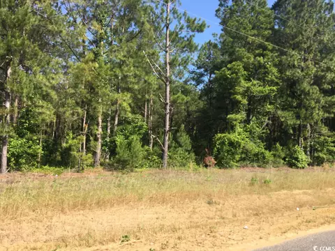 1300 Goose Bay Rd, Loris, SC 29569