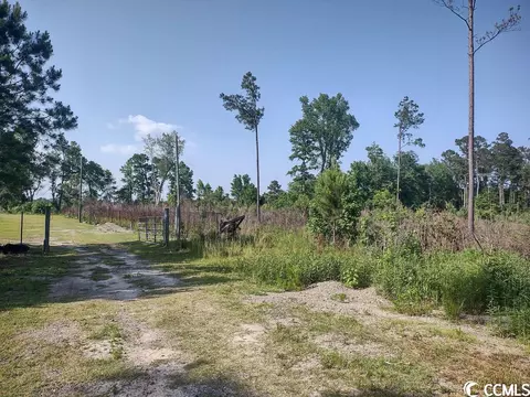 814 Ray Rd, Hemingway, SC 29554