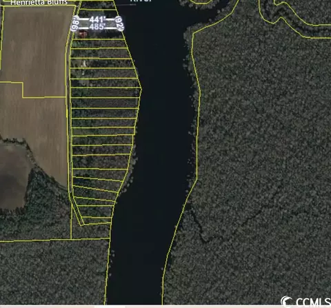 8767 Henrietta Bluff Rd, Conway, SC 29527