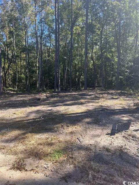 Tbd Morgan Ln., Aynor, SC 29511