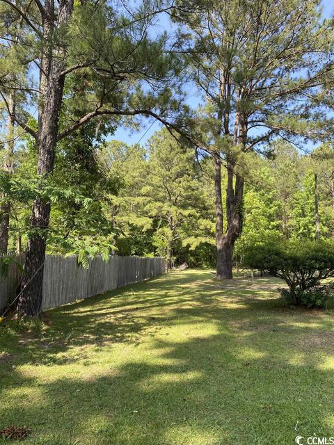 Tbd Silver Moon Ct., Conway, SC 29526