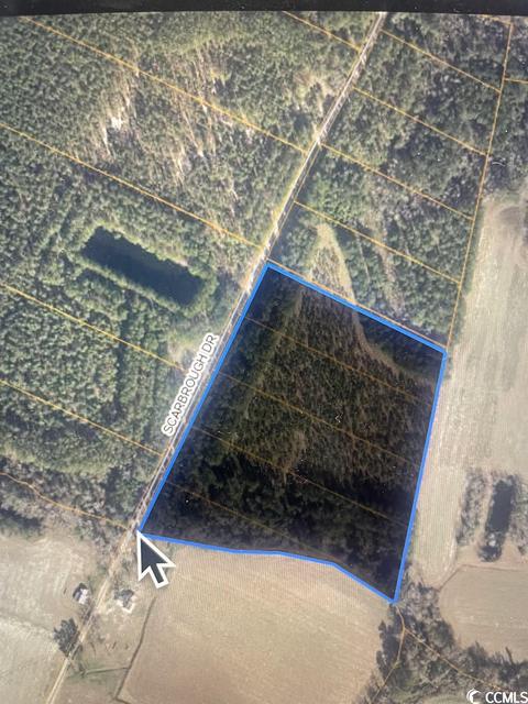 Tbd Scarbrough Dr., Loris, SC 29569