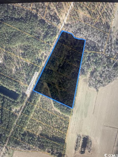 Tbd Scarbrough Dr., Loris, SC 29569