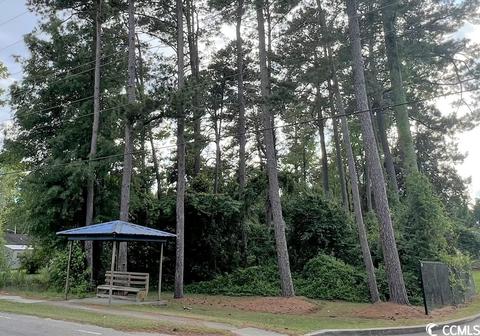 Tbd Grainger Rd., Conway, SC 29527