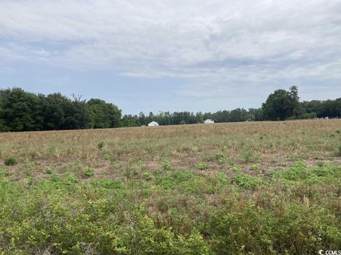 1246 Durant Cemetary Rd, Johnsonville, SC 29555