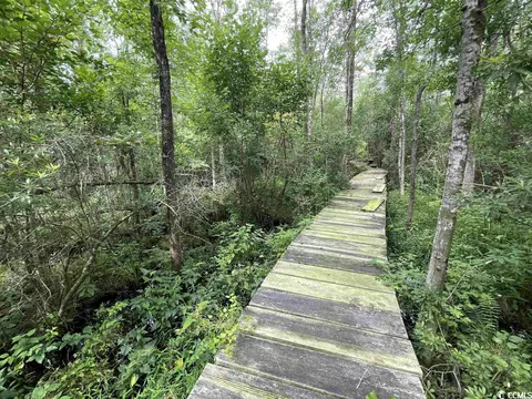 165 Chippewa Ln, Georgetown, SC 29440 photo 20