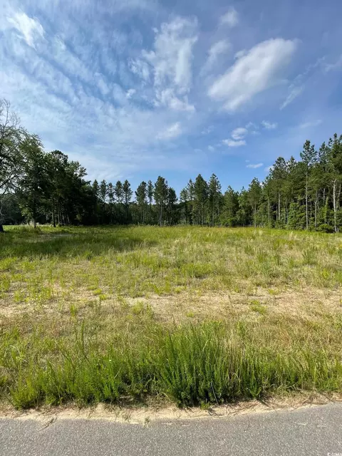 Sioux Swamp Dr., Conway, SC 29527