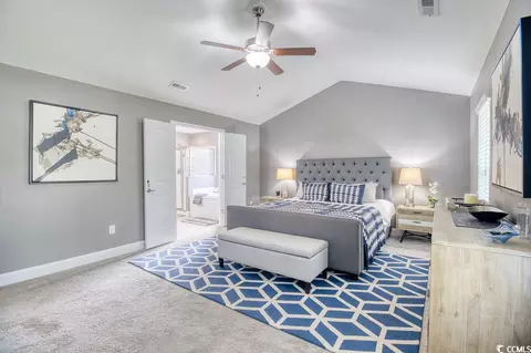 206 Marsh Tacky Loop, Myrtle Beach, SC 29588 photo 23