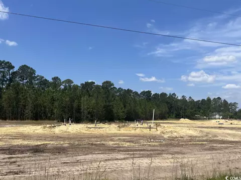 3108 Chapel Rd, Loris, SC 29569 photo 10