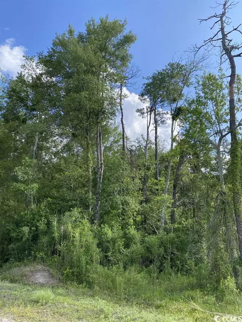 Hugo Rd., Conway, SC 29527